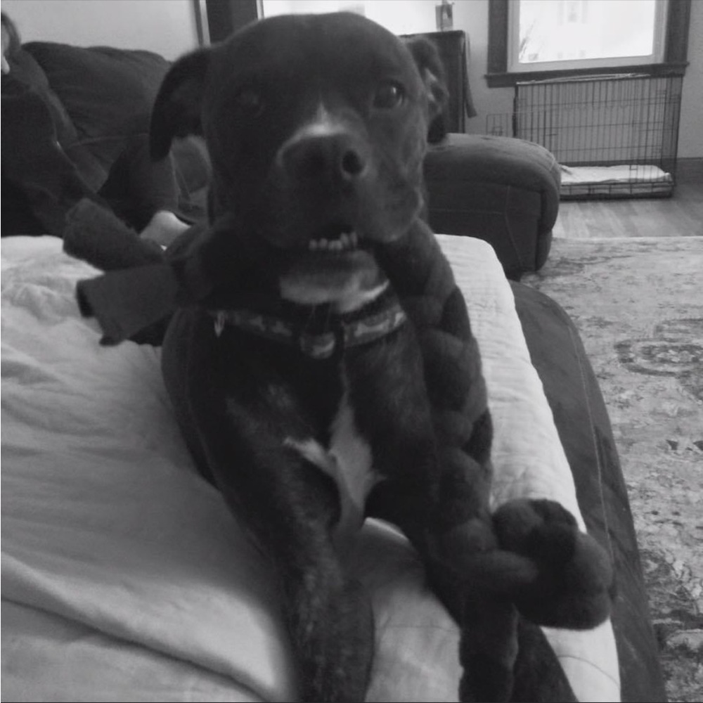 Meet your Posher, Erika